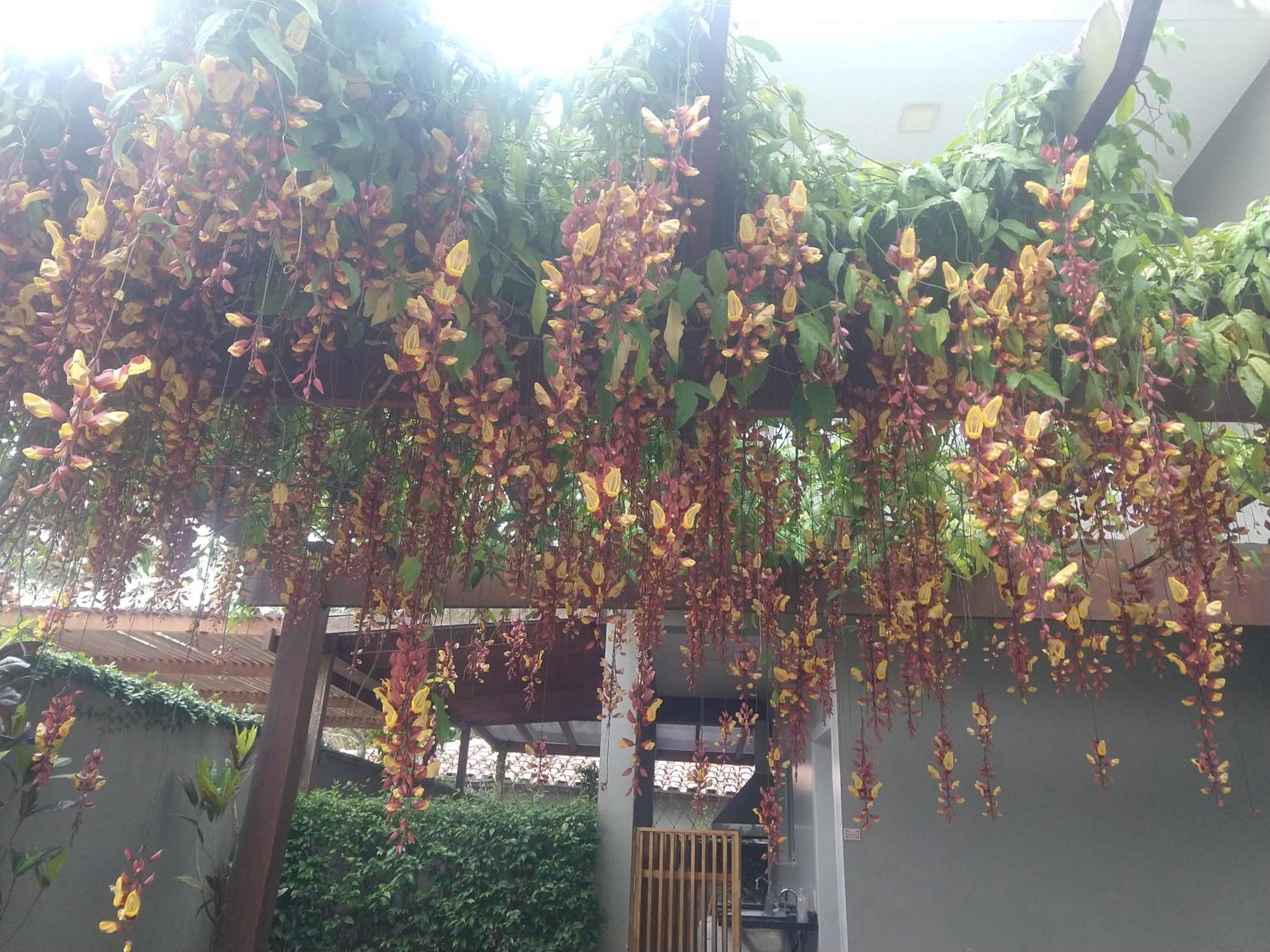 Casa Em Condominio Fechado, Ambiente Familiar Sao Sebastiao  Exteriör bild